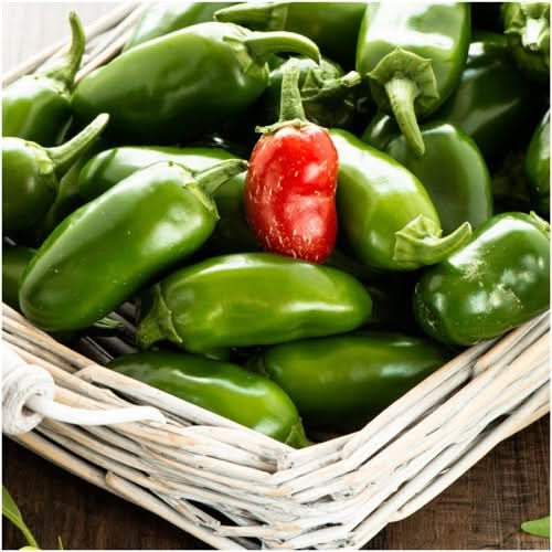 TAM jalapeño Pepper Seeds For Planting (Capsicum annuum)