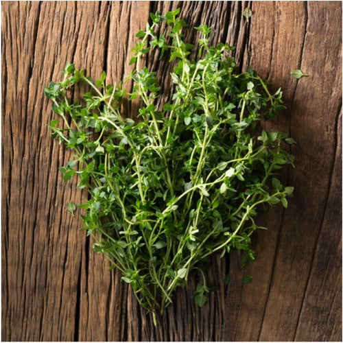 thyme herb seeds for planting