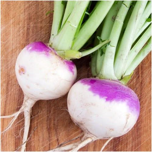 Purple Top White Globe Turnip Seeds For Planting (Brassica rapa)