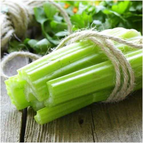 Utah 52-70 Celery Seeds For Planting (Apium graveolens)