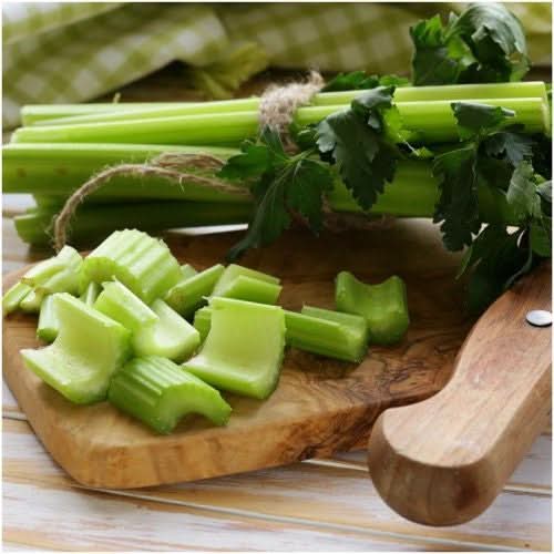 Utah 52-70 Celery Seeds For Planting (Apium graveolens)