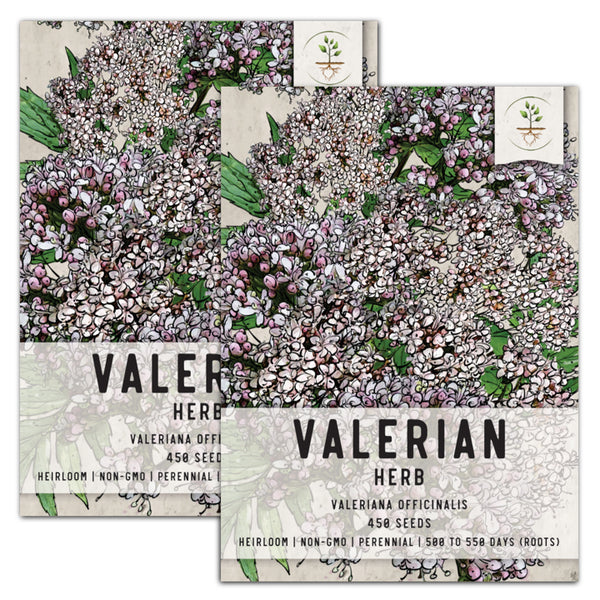 valerian seeds for planting