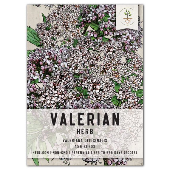 Common Valerian Herb Seeds For Planting (Valeriana officinalis)