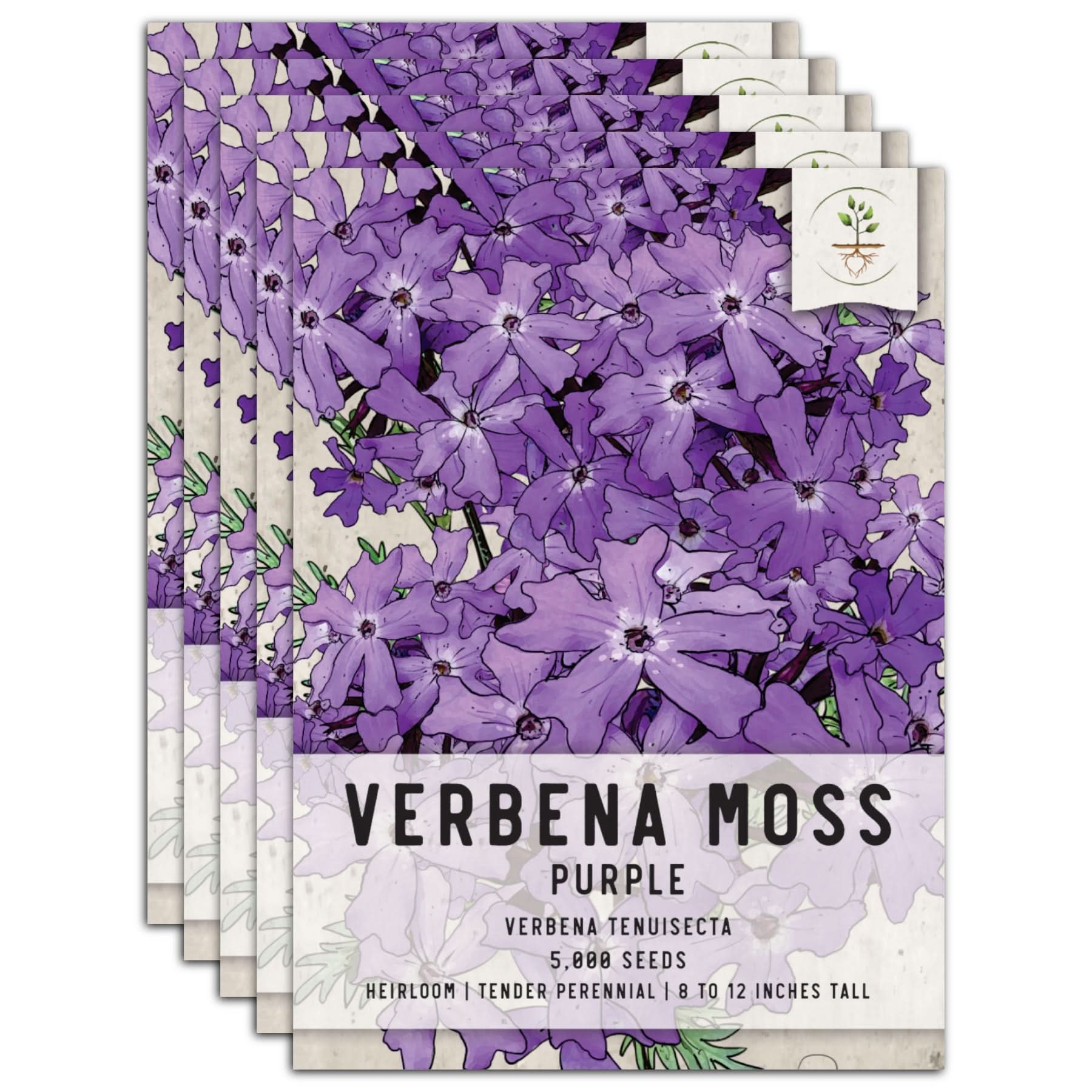 Verbena Moss Seeds For Planting (Verbena tenuisecta) Seed Needs