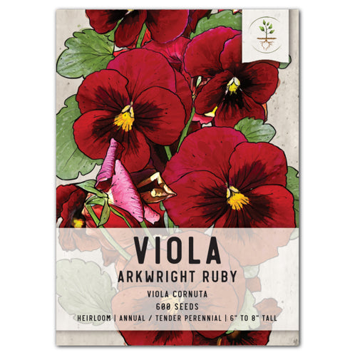 Arkwright Ruby Viola Seeds For Planting (Viola cornuta)