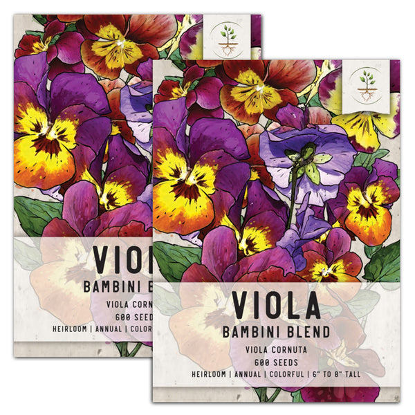 Bambini Viola Seeds For Planting (Viola cornuta)