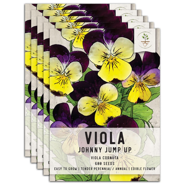 Johnny Jump Up Seeds For Planting, Helen Mount (Viola cornuta)