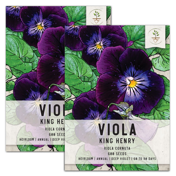 King Henry Viola Seeds For Planting (Viola cornuta)