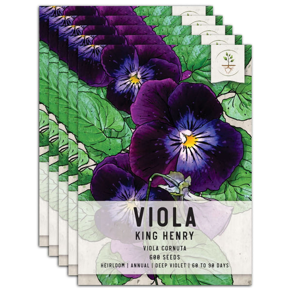 King Henry Viola Seeds For Planting (Viola cornuta)