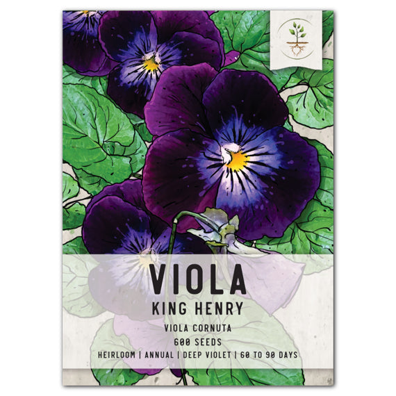King Henry Viola Seeds For Planting (Viola cornuta)