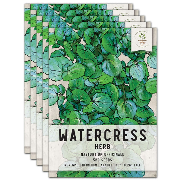 Watercress Herb Seeds For Planting (Nasturtium officinale)