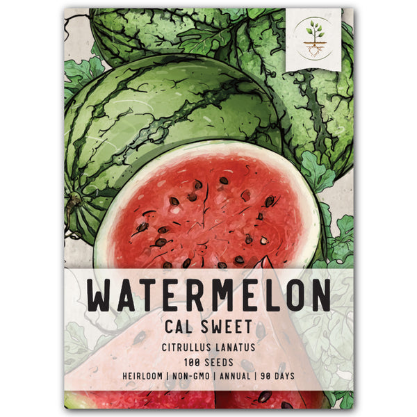Cal Sweet Watermelon Seeds For Planting (Citrullus lanatus)