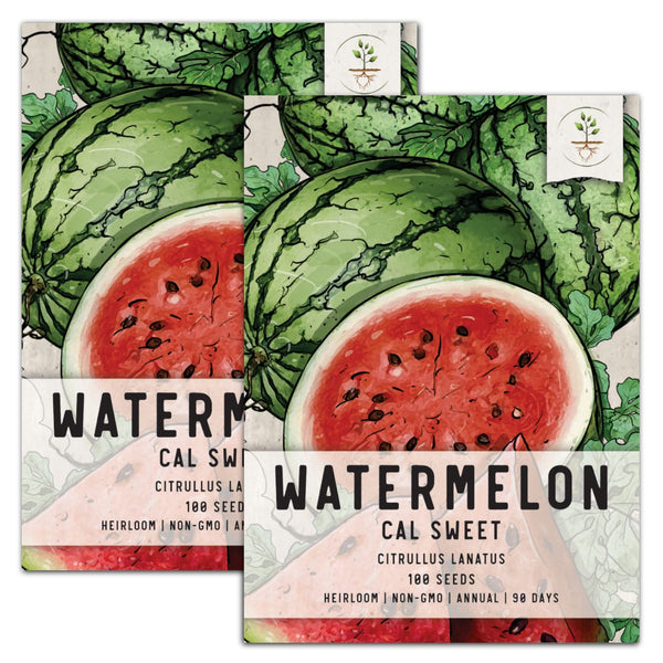 Cal Sweet Watermelon Seeds For Planting (Citrullus lanatus)