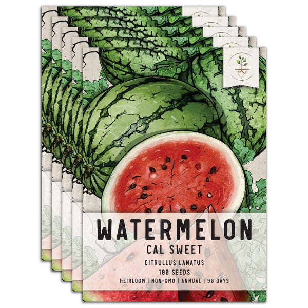 Cal Sweet Watermelon Seeds For Planting (Citrullus lanatus)
