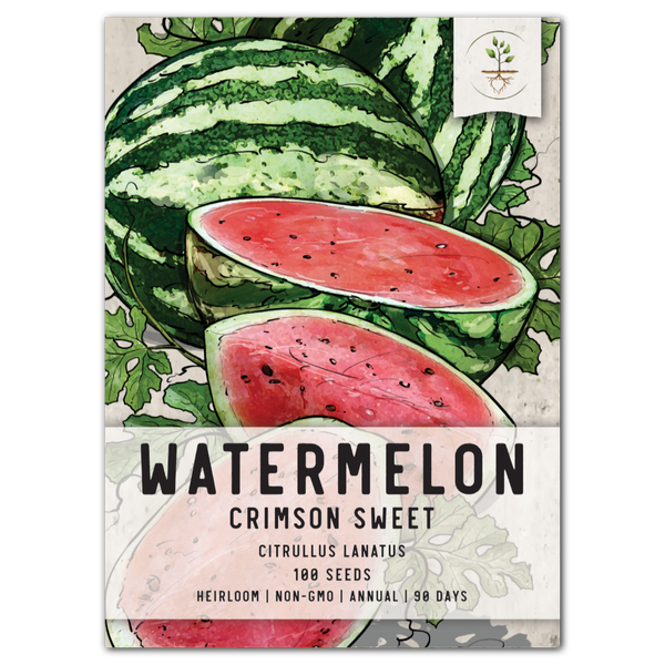 Crimson Sweet Watermelon Seeds For Planting (Citrullus lanatus)