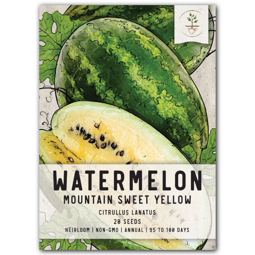 Mountain Sweet Yellow Watermelon Seeds For Planting (Citrullus lanatus)