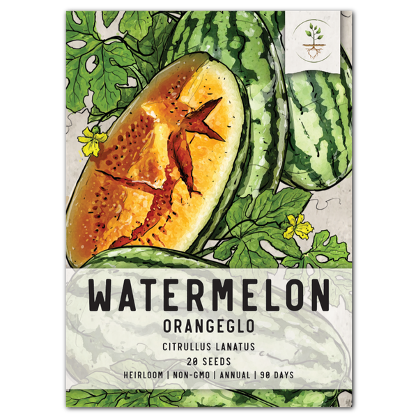 Orangeglo Watermelon Seeds For Planting (Citrullus lanatus)
