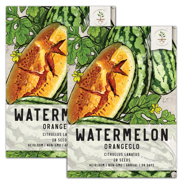 Orangeglo Watermelon Seeds For Planting (Citrullus lanatus)