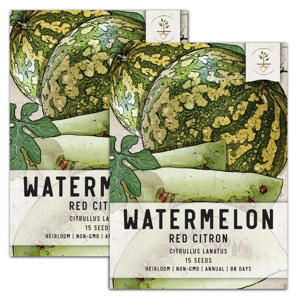 Citron Red Seeded Watermelon Seeds For Planting (Citrullus lanatus)