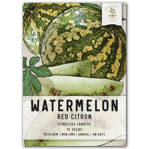 Citron Red Seeded Watermelon Seeds For Planting (Citrullus lanatus)