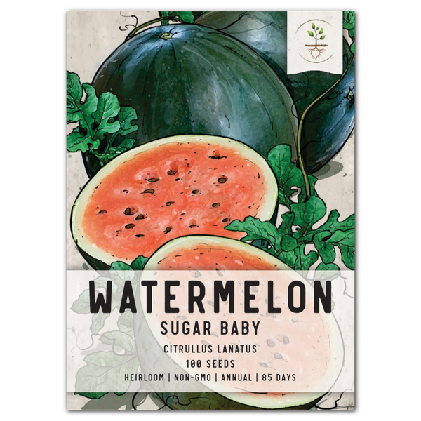 Sugar Baby Watermelon Seeds For Planting (Citrullus lanatus)