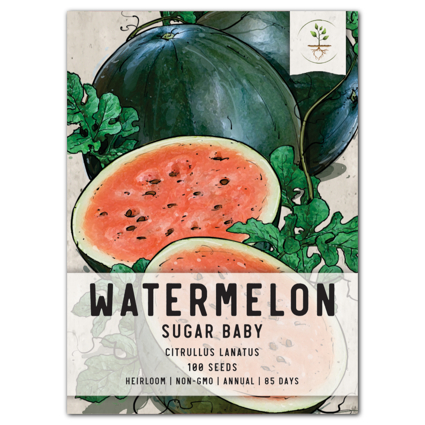 Sugar Baby Watermelon Seeds For Planting (Citrullus lanatus)