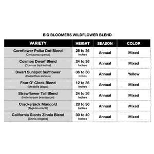 Large Flowering Wildflower Seed Blend (7 Varieties Included)