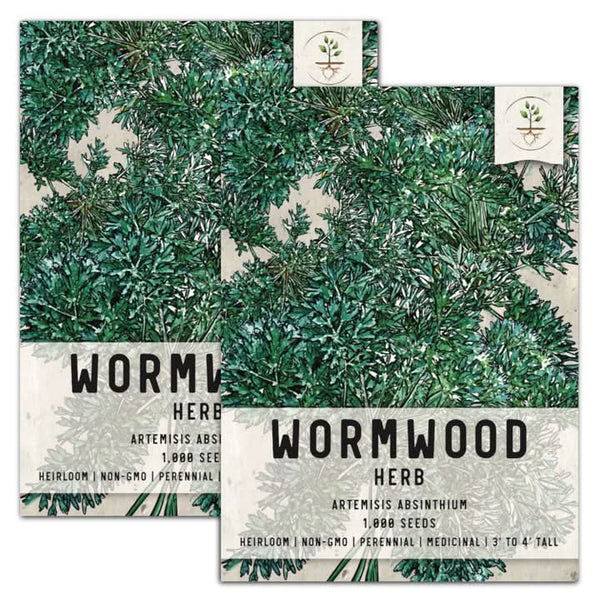 wormwood seeds for planting