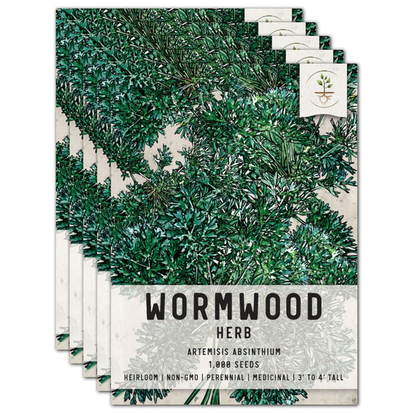 Wormwood Herb Seeds For Planting (Artemisis absinthium)