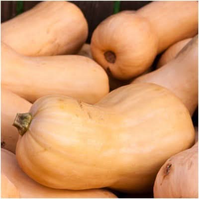Waltham Butternut Winter Squash Seeds For Planting (Cucurbita pepo)