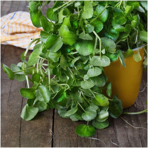 watercress seeds for planting