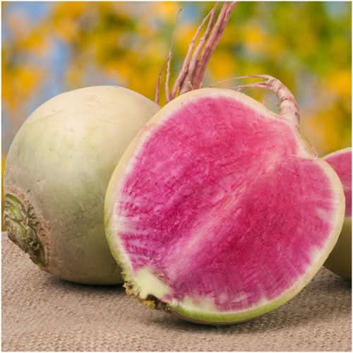 Watermelon Radish Seeds For Planting (Raphanus sativus)