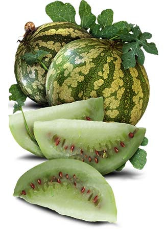 Citron Red Seeded Watermelon Seeds For Planting (Citrullus lanatus)