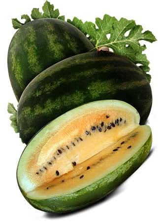 Mountain Sweet Yellow Watermelon Seeds For Planting (Citrullus lanatus)