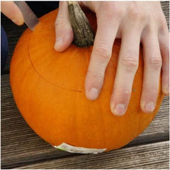Wee B Little Pumpkin Seeds For Planting (Cucurbita pepo)