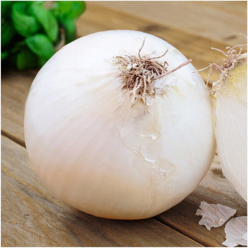 White Sweet Spanish Onion Seeds for planting