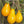 Yellow Pear Tomato seeds for planting