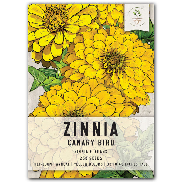 CANARY BIRD YELLOW ZINNIA SEEDS FOR PLANTING