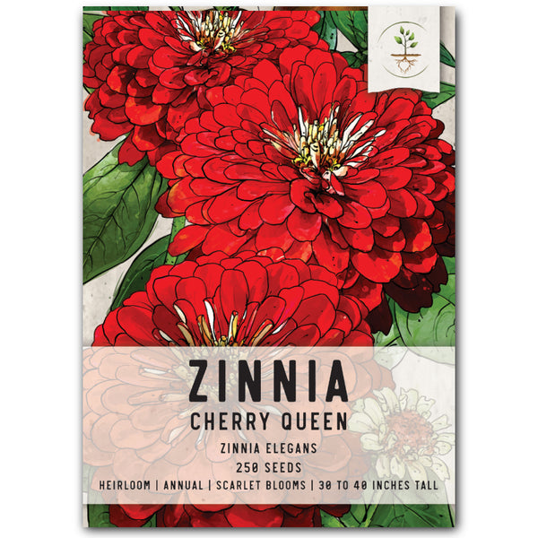 Cherry Queen Zinnia Seeds For Planting (Zinnia elegans)