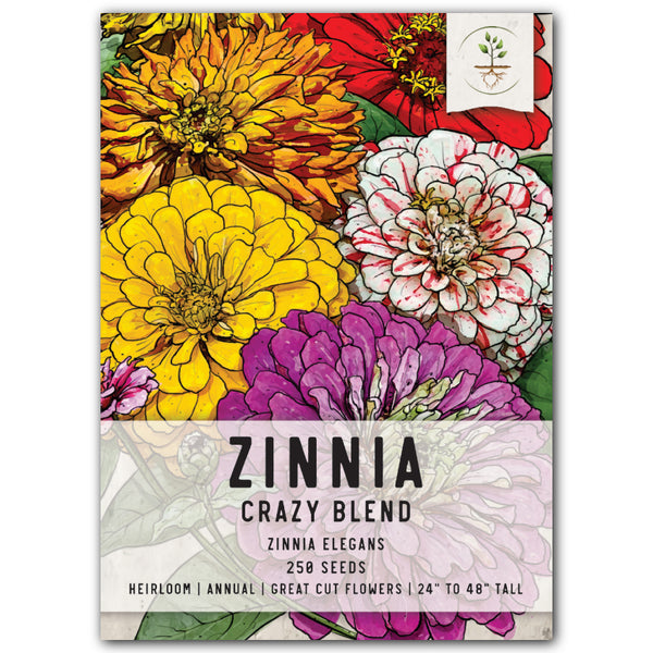 Crazy Zinnia Mixture (Zinnia elegans)