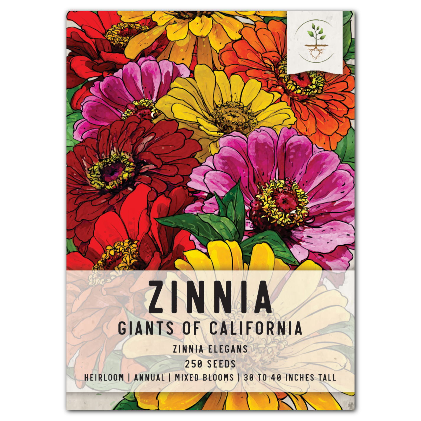 giants of california zinnia seeds for planting