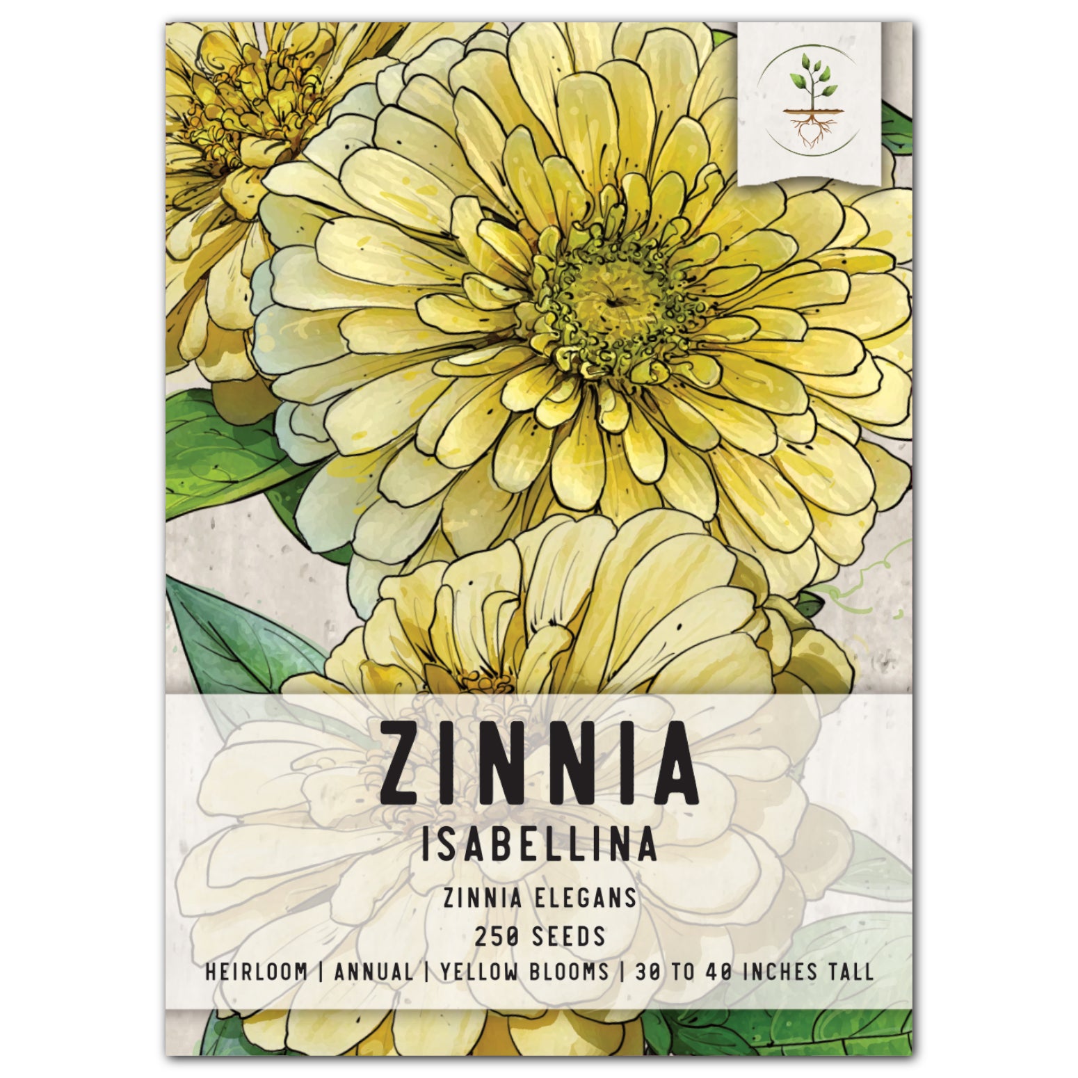 Isabellina Zinnia Seeds For Planting (Zinnia elegans)