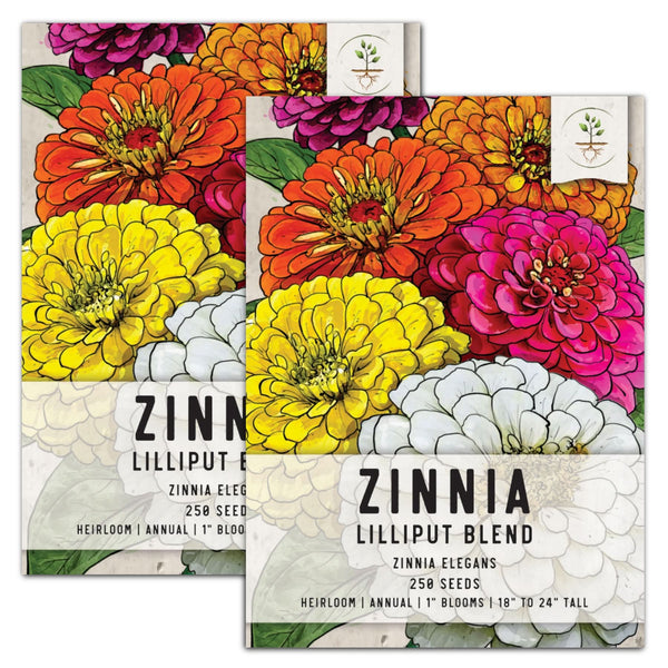 Lilliput Zinnia Mixture (Zinnia elegans)