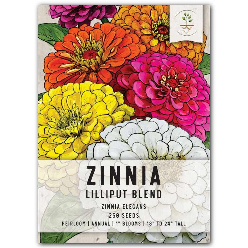 Lilliput Zinnia Mixture (Zinnia elegans)