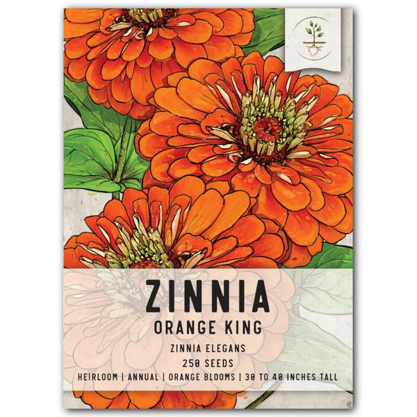 Orange King Zinnia Seeds For Planting (Zinnia elegans)