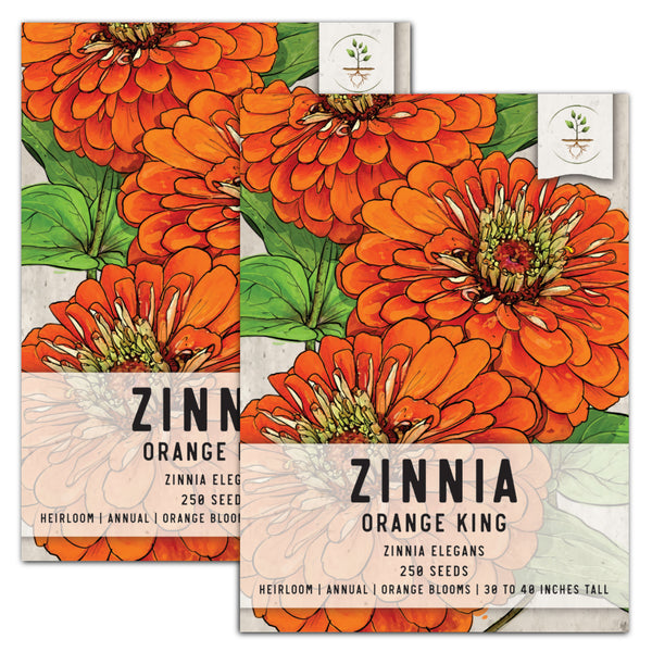 Orange King Zinnia Seeds For Planting (Zinnia elegans)