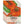 Orange King Zinnia Seeds For Planting (Zinnia elegans)