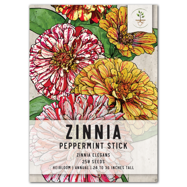 Peppermint Stick Zinnia Mixture (Zinnia elegans)