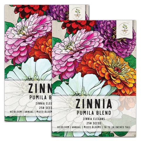 Pumila Zinnia Mixture (Zinnia elegans)
