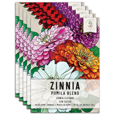 Pumila Zinnia Mixture (Zinnia elegans)